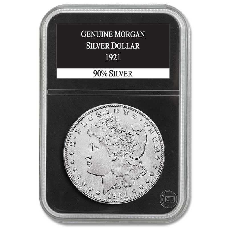 1878-1921 Morgan Dollar Silver (Full Set 28)