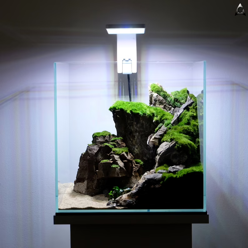 Ancient Stone glued aquascape for nano aquarium