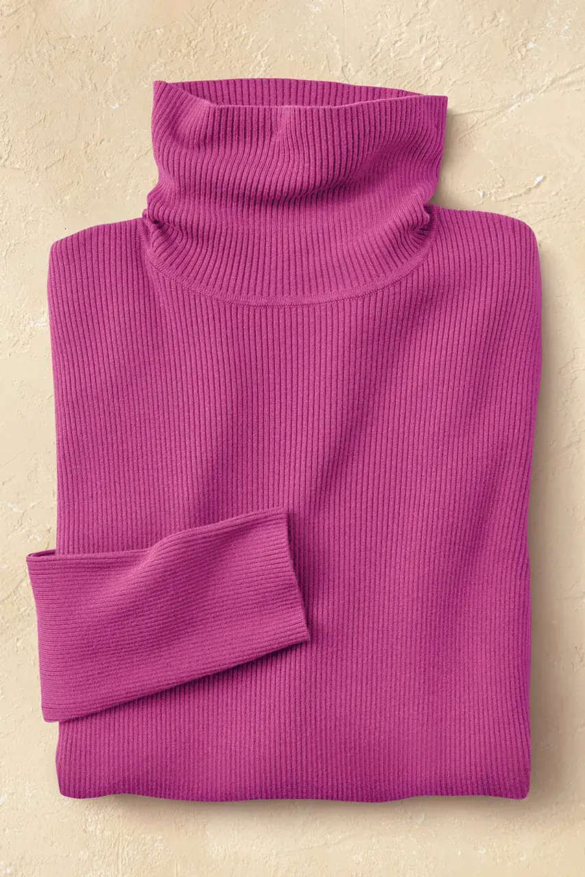 Ribbed Turtleneck Sweater