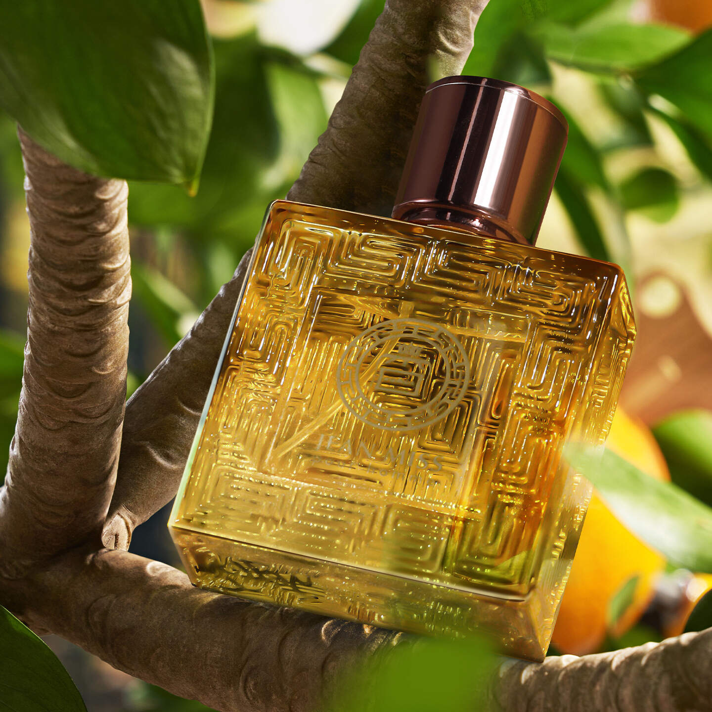 50ml 
