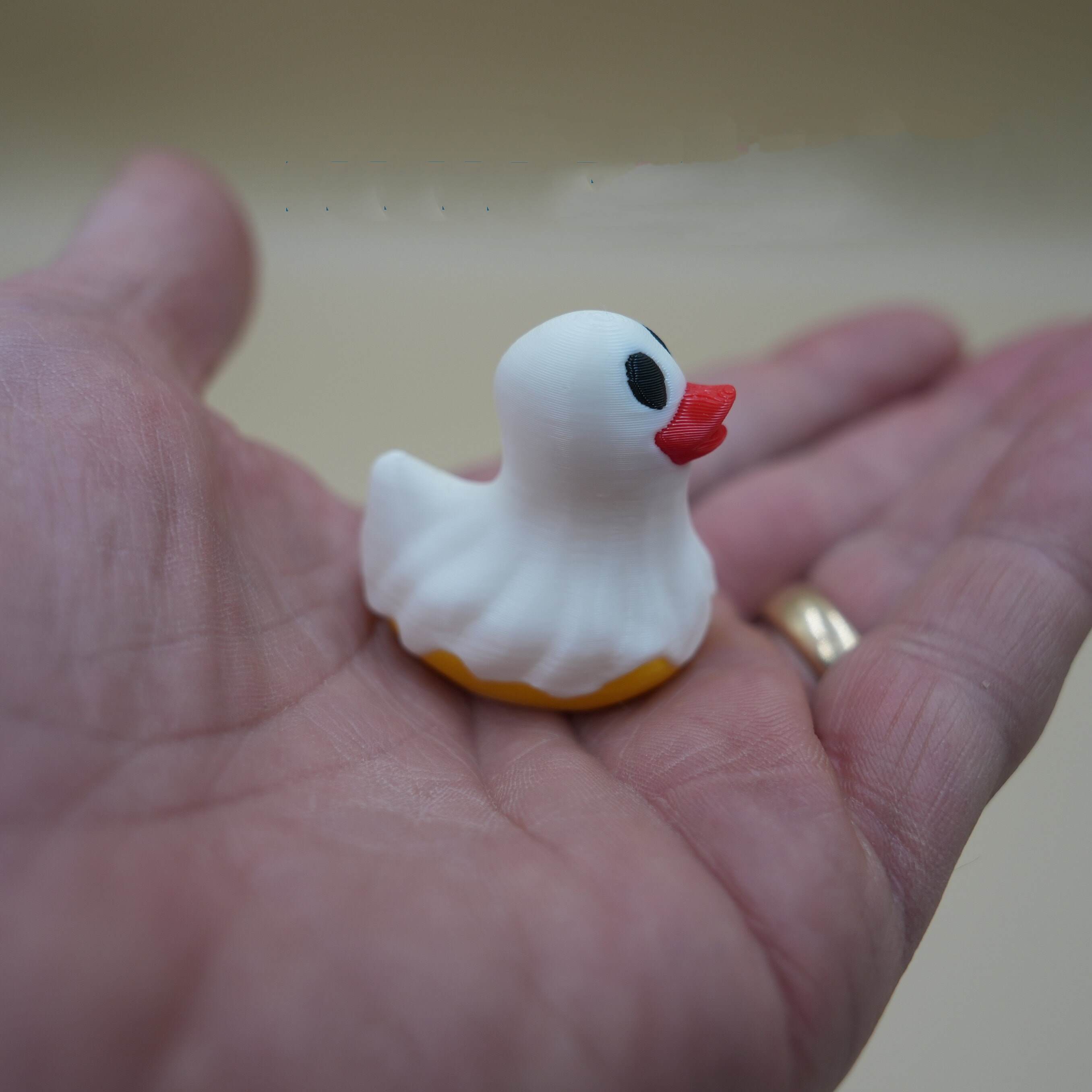 Lucky Spooky Ducks School Supplies Set