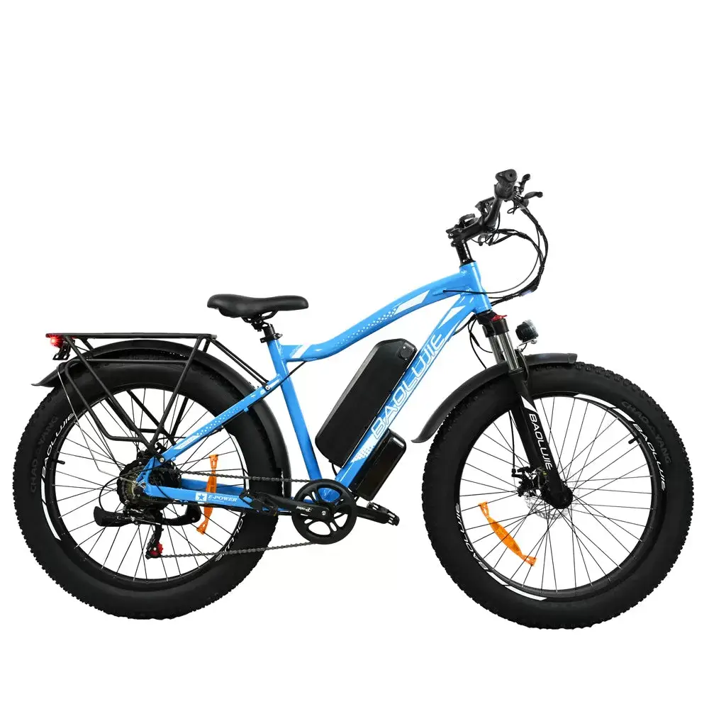 E-bike DP2619 Spoke Tire Type 48V 13AH 750W Performance Motor