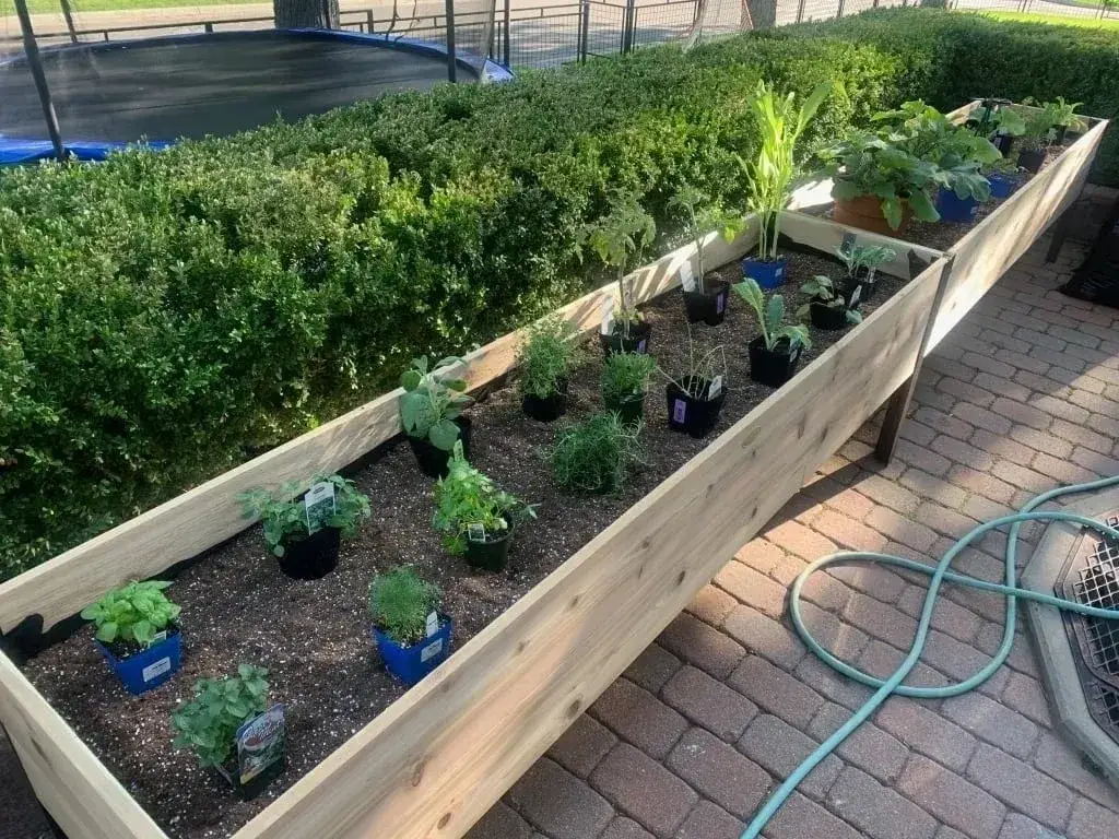 🎍Heavy Duty Standing Garden Planters for ❤️(2' x 8' )