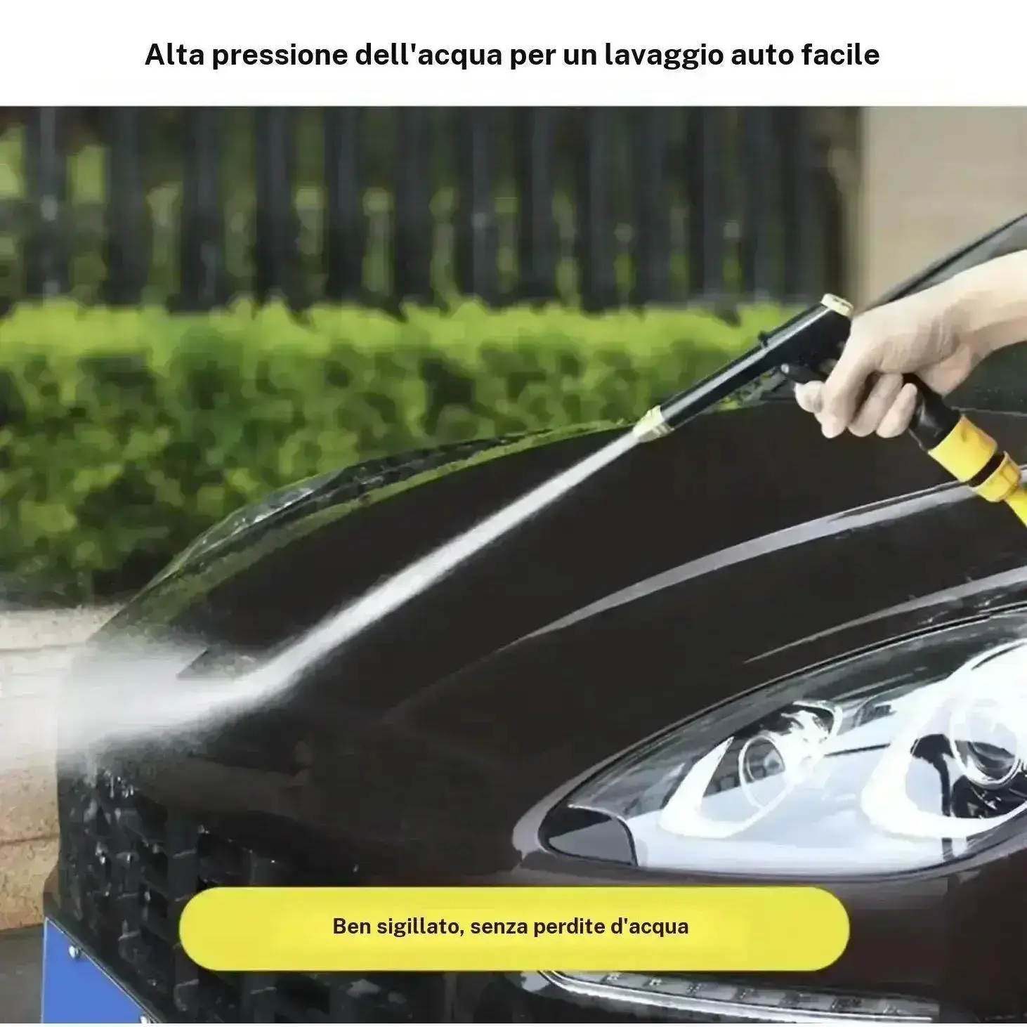 Portable High Pressure Water Sprayer