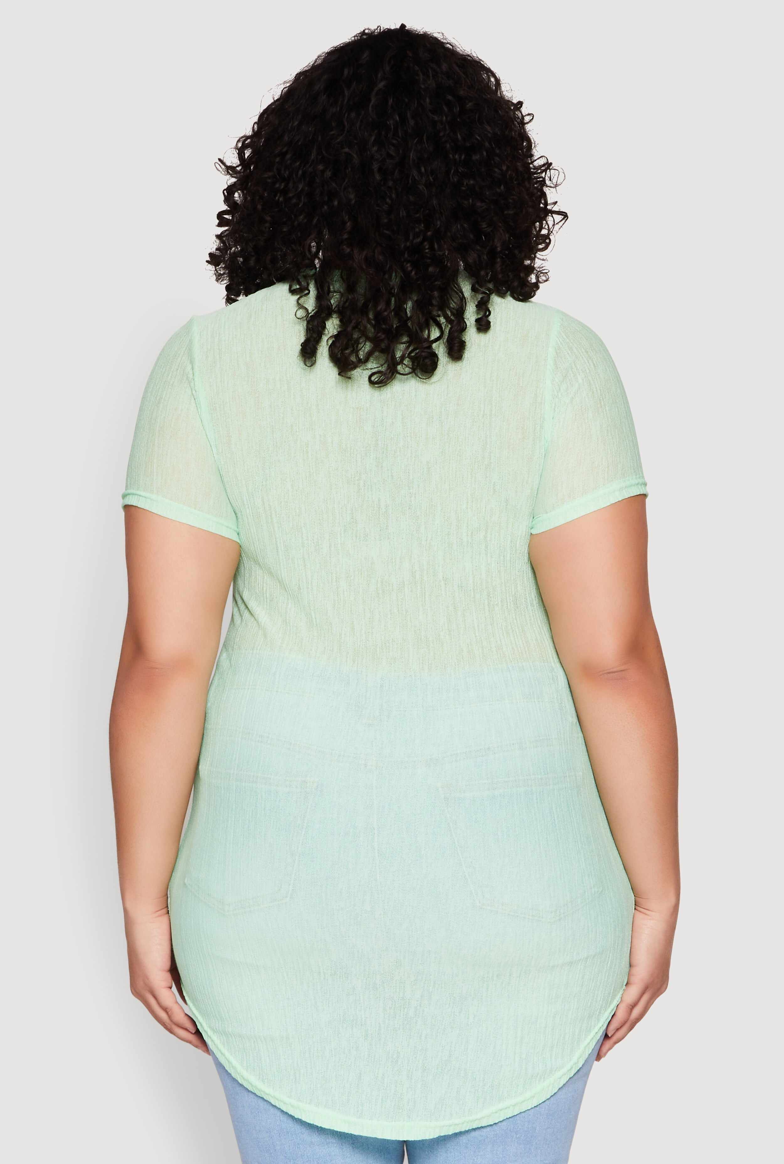 Plus Size Sheer Short Sleeve Tunic Top