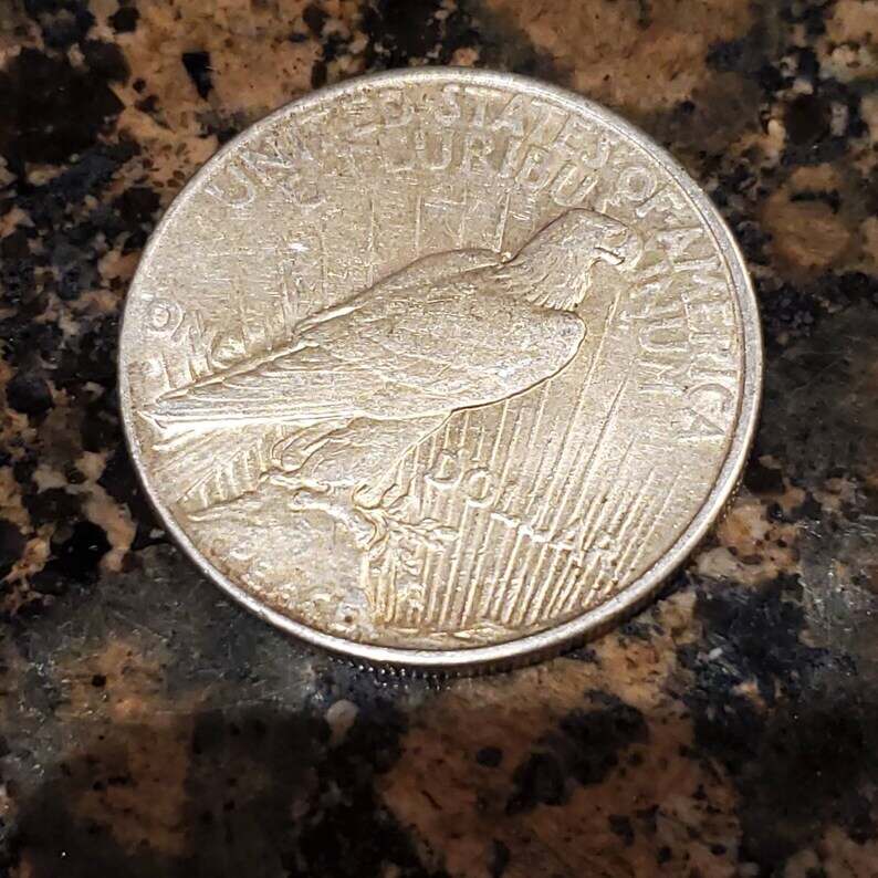 1934 D  United States Silver Peace Dollar  XF+   lot #720