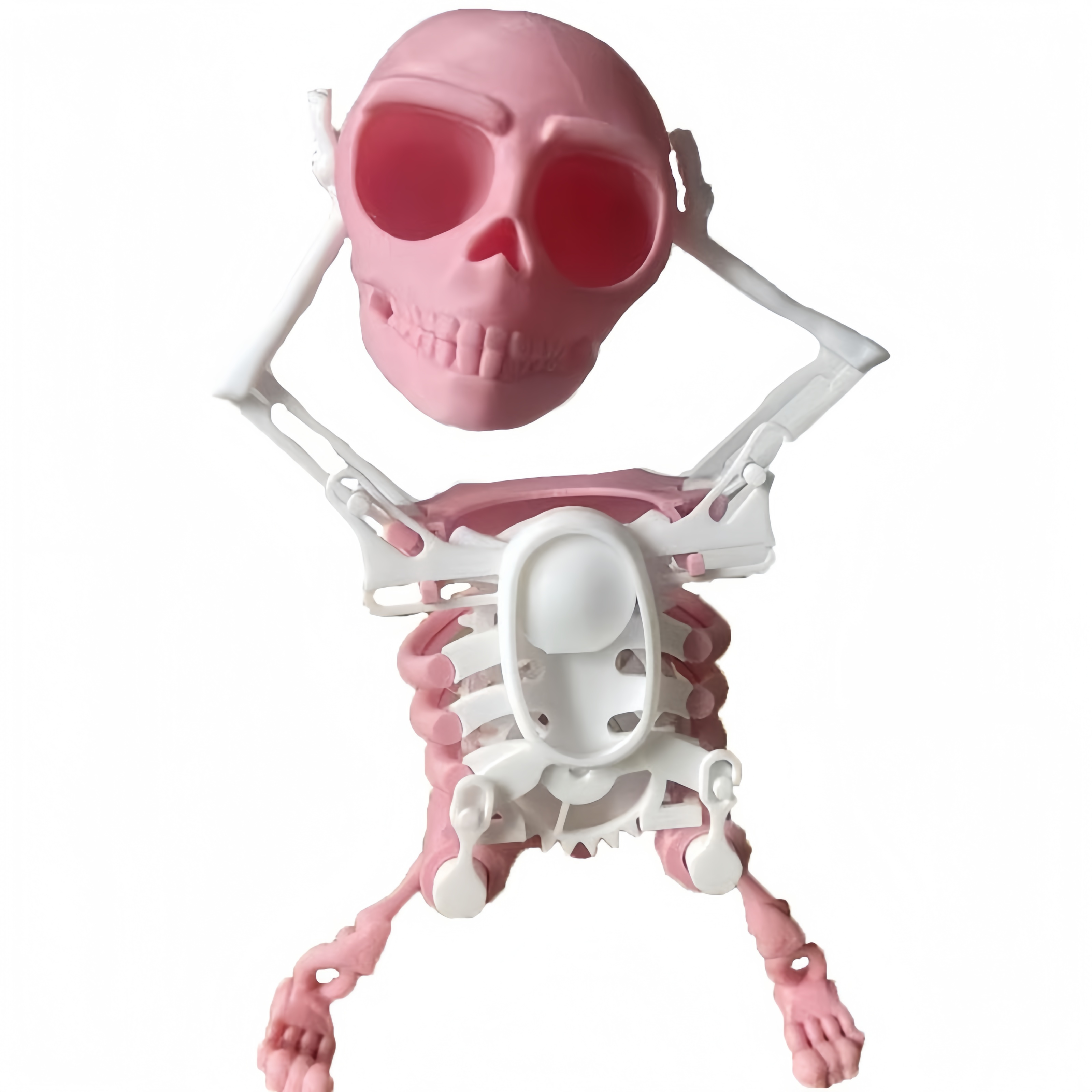 Dancing and Swinging 3D Skull Toy🎉