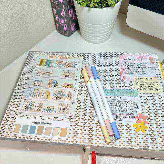 ✝️Bible Study Tracker Stickers