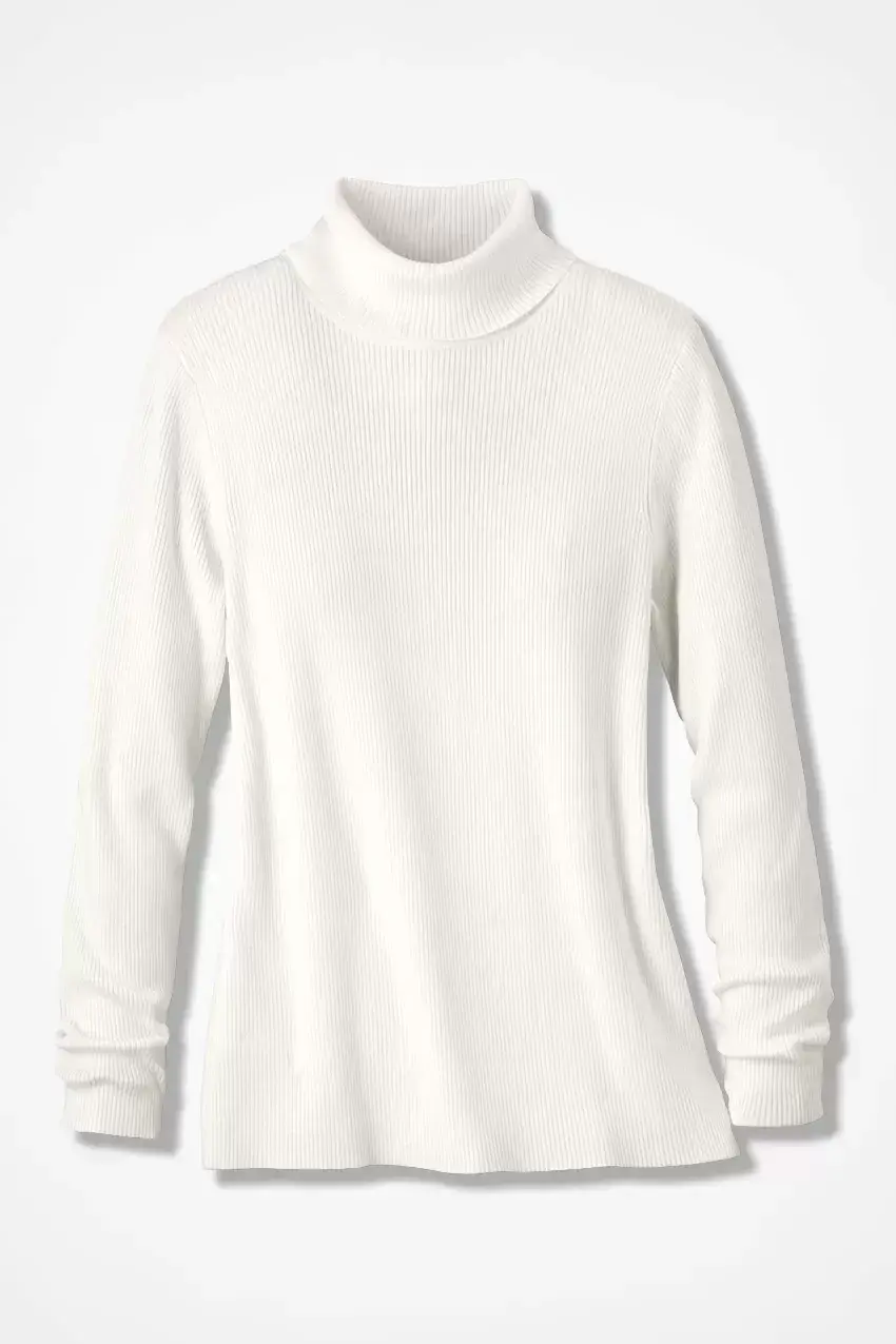 Ribbed Turtleneck Sweater