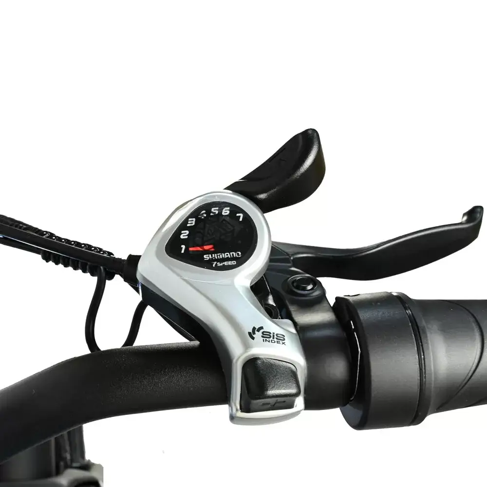 E-bike DP2619 Spoke Tire Type 48V 13AH 750W Performance Motor