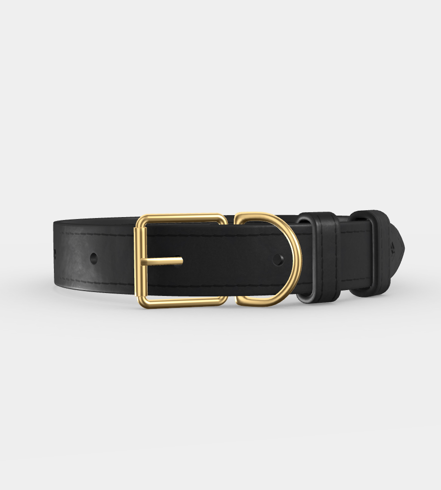 Custom Clef Dog Collar