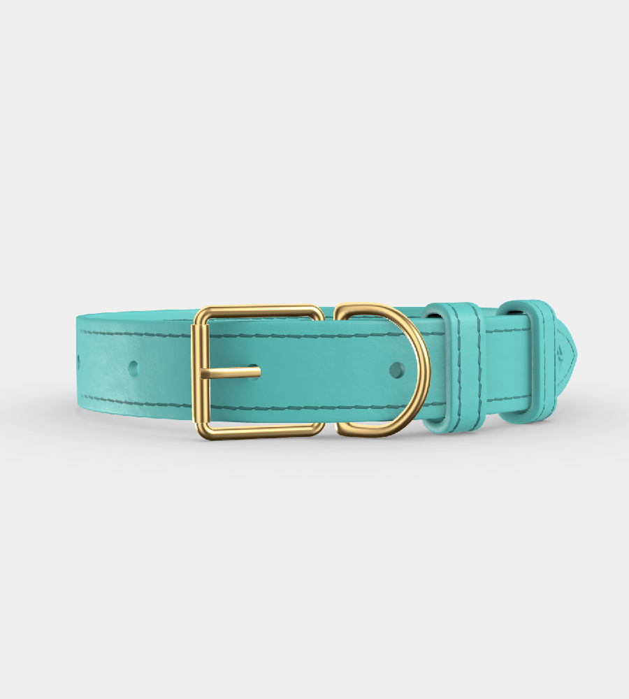 Custom Clef Dog Collar