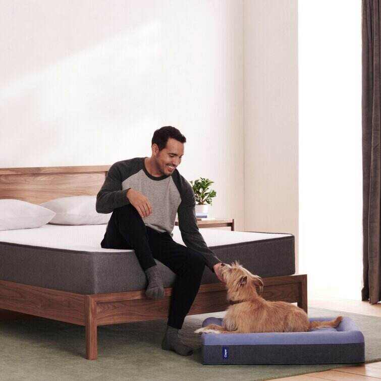 The Casper Dog Bed
