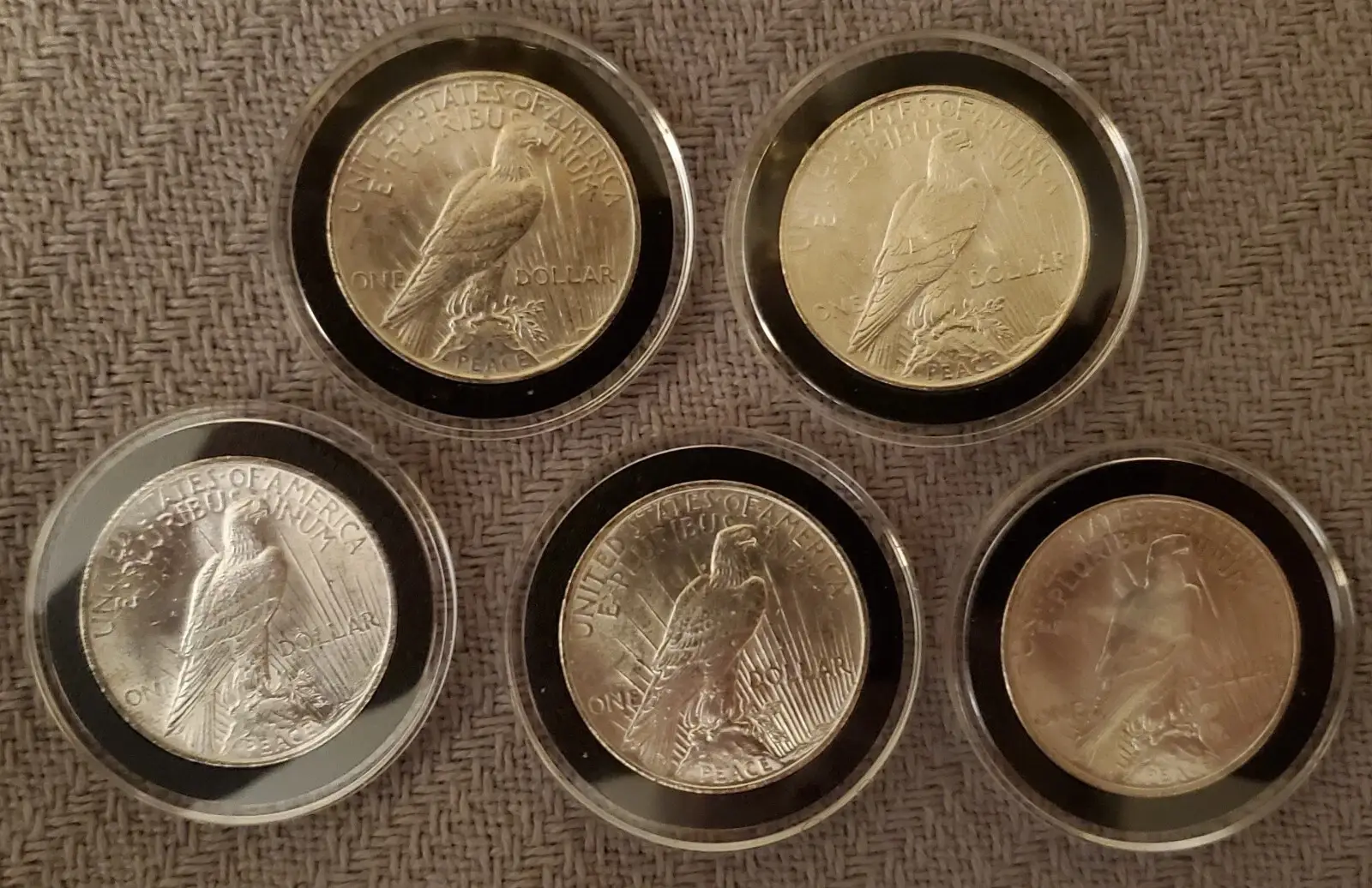 🕊️✯ MIXED DATE ✯The Complete Collection of 1921~1935 Peace Silver Dollar