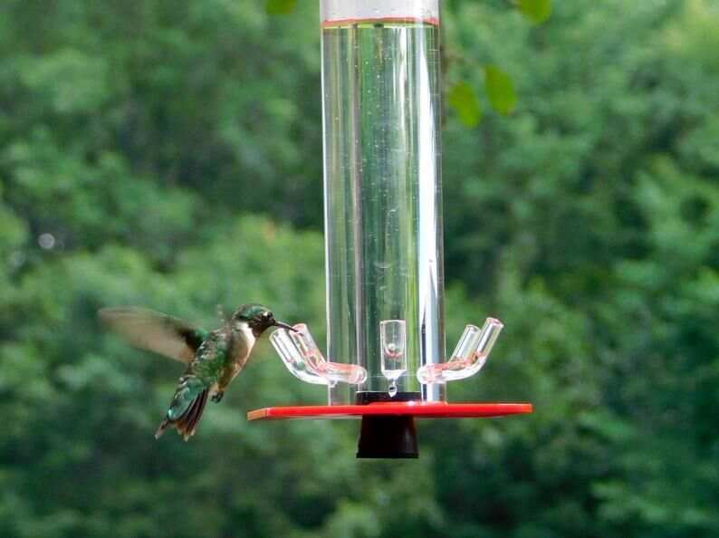 50% OFF Peter's Hummingbird Feeder - Buy 2 Give Free Cleaning Brush and Hook