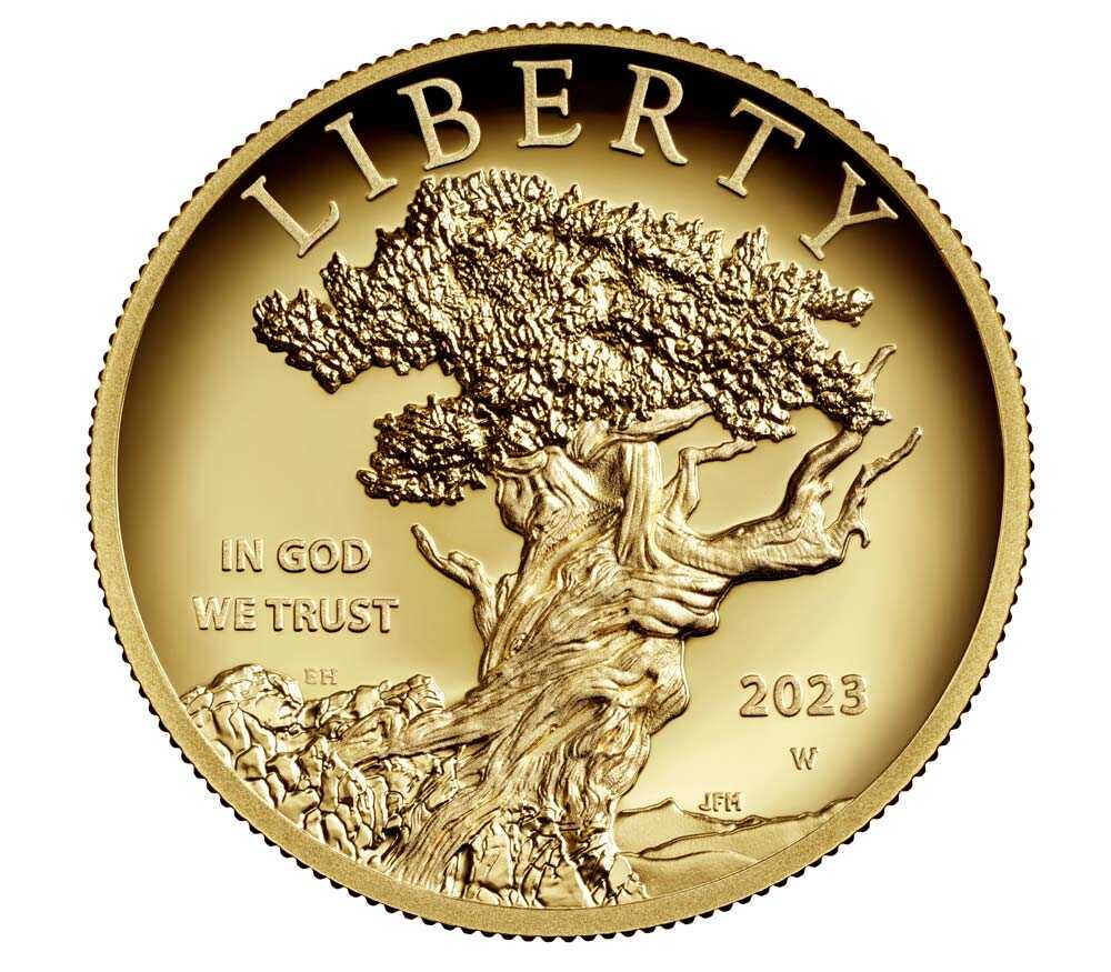 American Liberty 2023 High Relief Gold Coin
