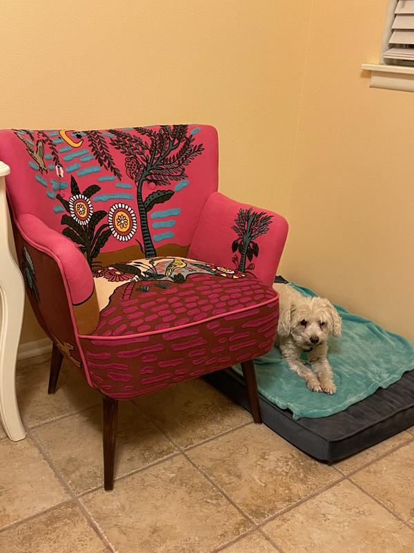 Imagined World Petite Accent Chair