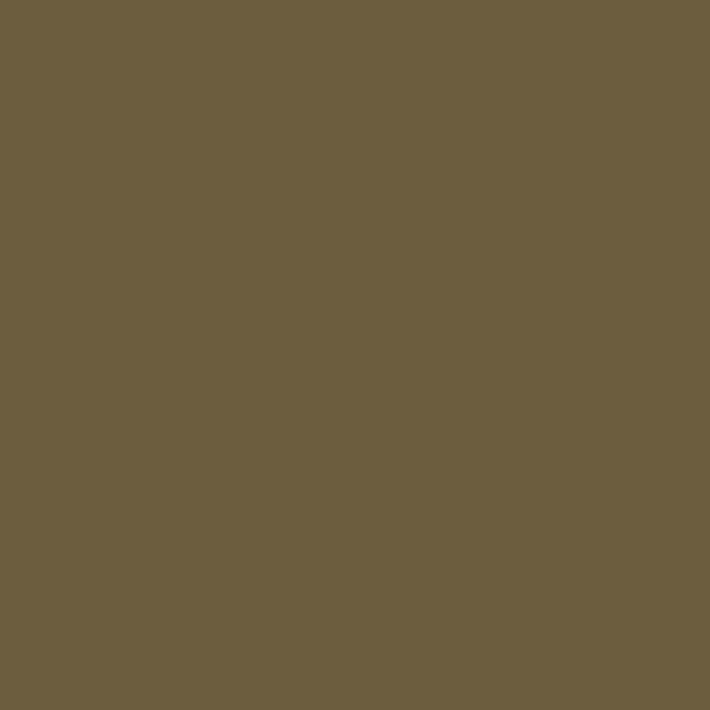 Plus Size High Waisted Solid Nylon Cargo Shorts