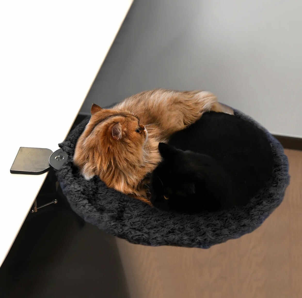 Foldable Desktop Cat Hammock – Suspended Pet Bed / Cat Perch Stand--PurrNest Cozy
