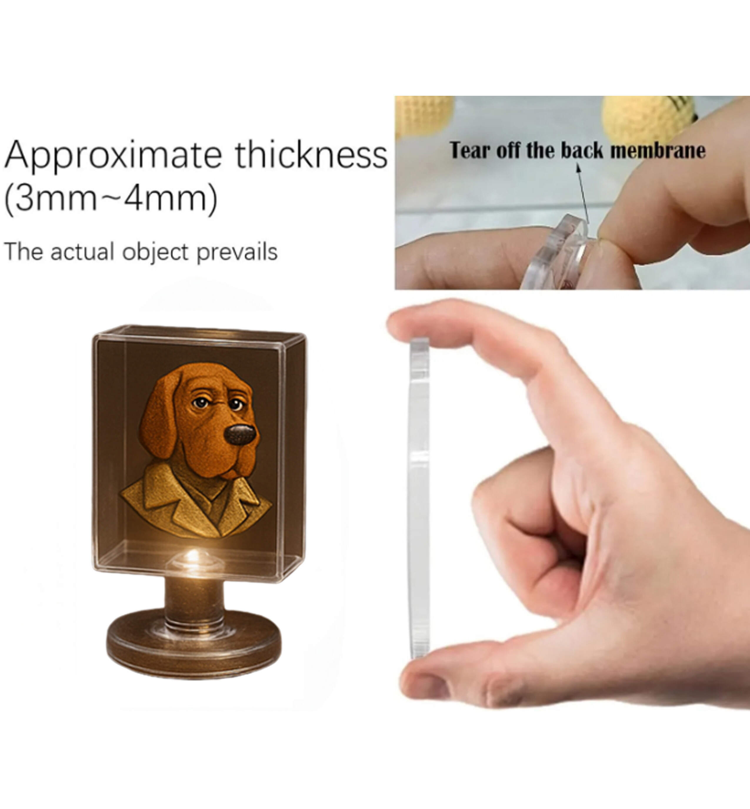 NCPC 43th Anniversary Advent Calendar 2025