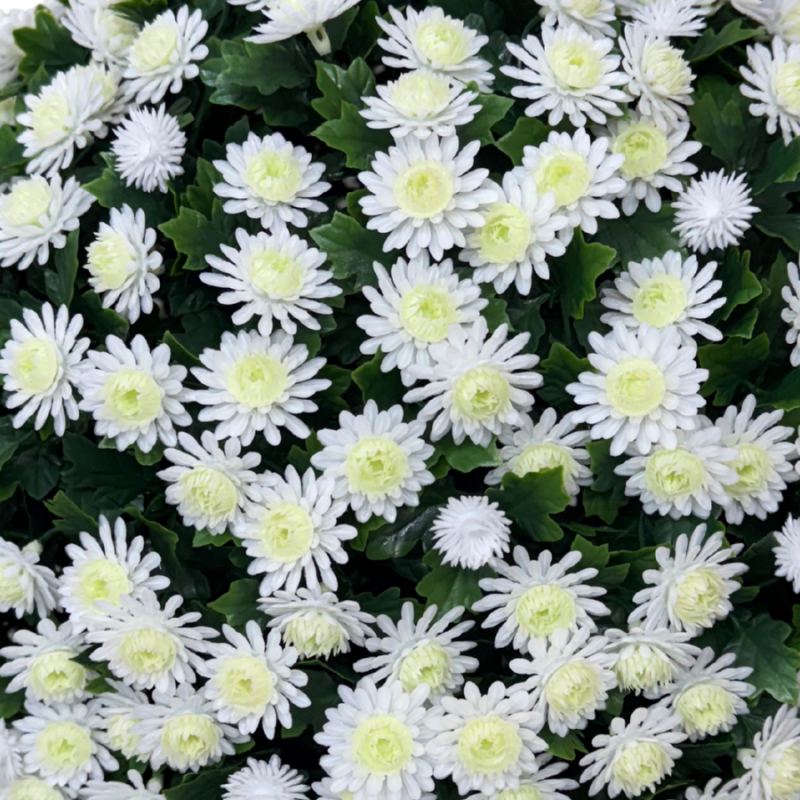 🏆Flash Sale⚡UV Mum Topiary Ball