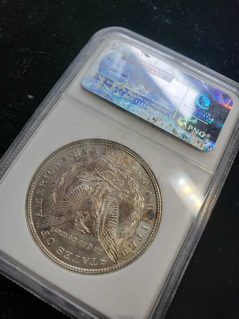 1880-P Morgan Silver Dollar  NGC  Graded MS 64 Nice Colored toning on obverse-    Lot# 1460