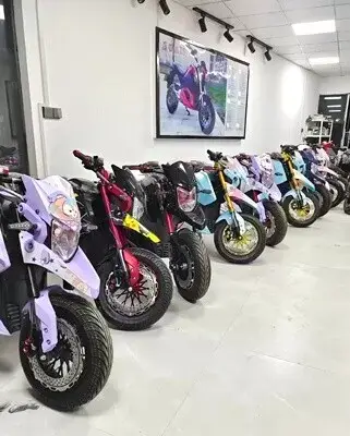 🔥Clearance sale Last five days🔥 – Lithium Battery Electric Motorcycle