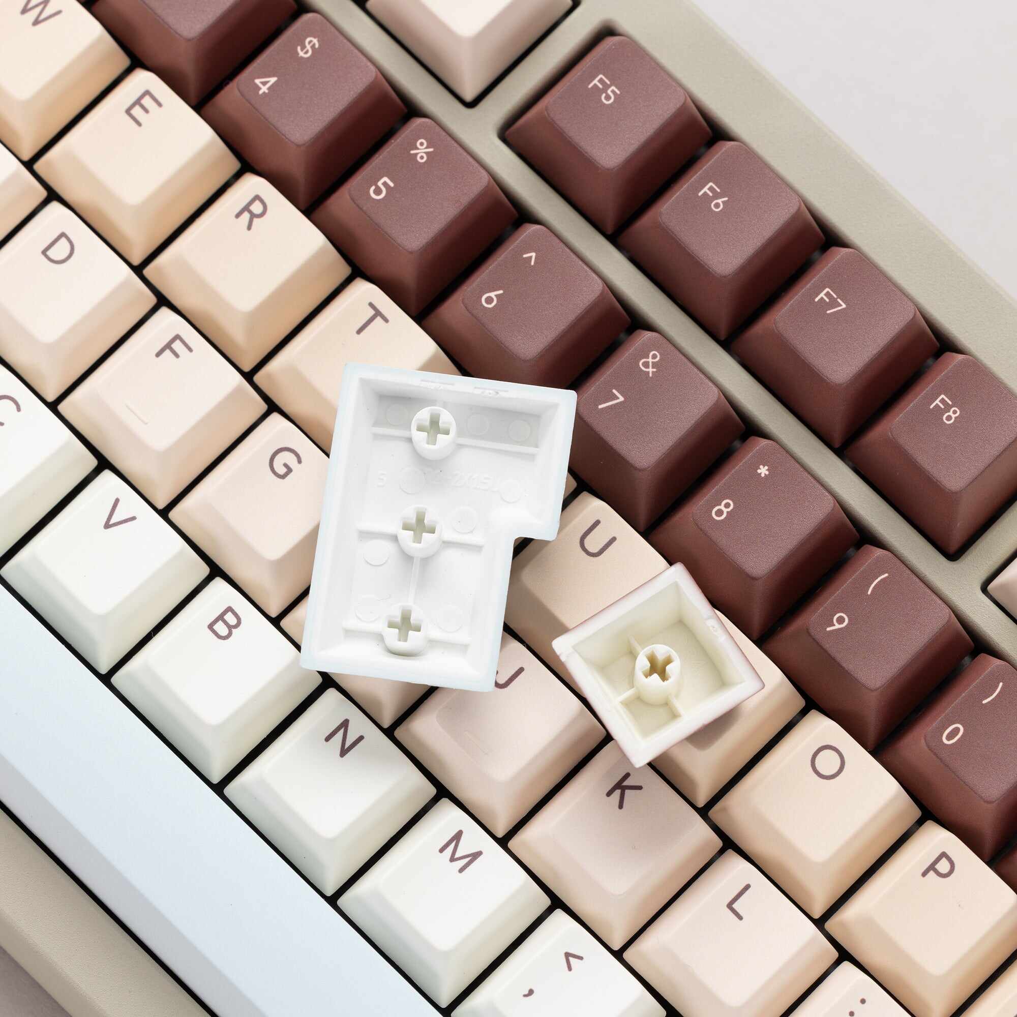 Otter Coffee Cherry profile Keycaps