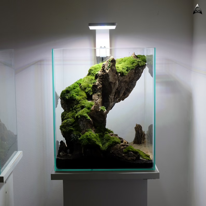 Ancient Stone glued aquascape for nano aquarium