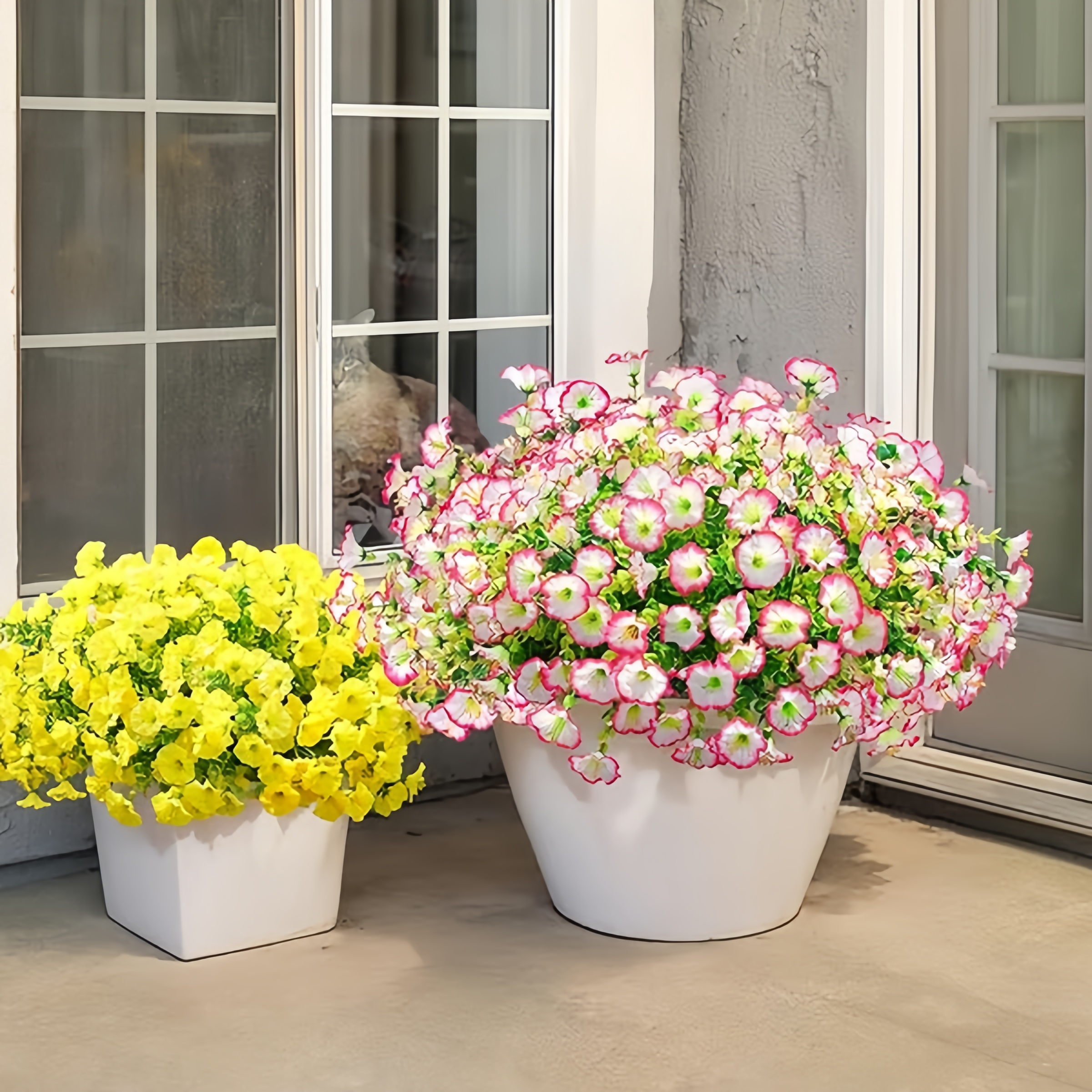 💥Upgraded High-Grade Material🌸UV Resistant Fade-Free Fake Silk Colourful Morning Glory