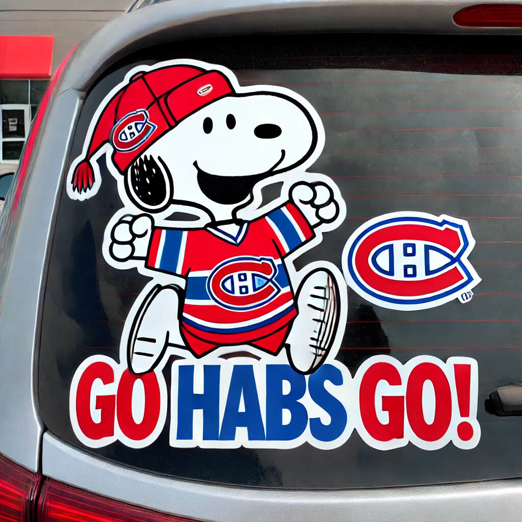 SNPY X NHL Car Decals