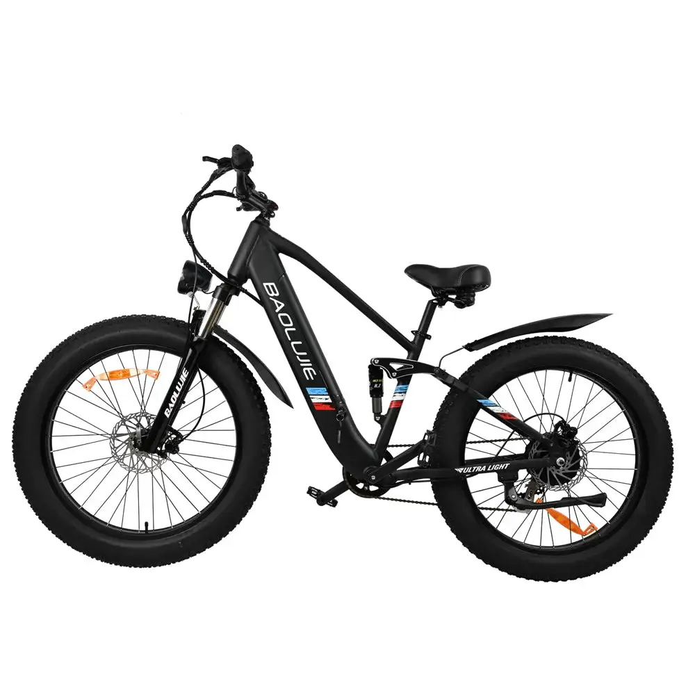 E-bike DP2615 Eel Shock Absorbers 48V12AH 26