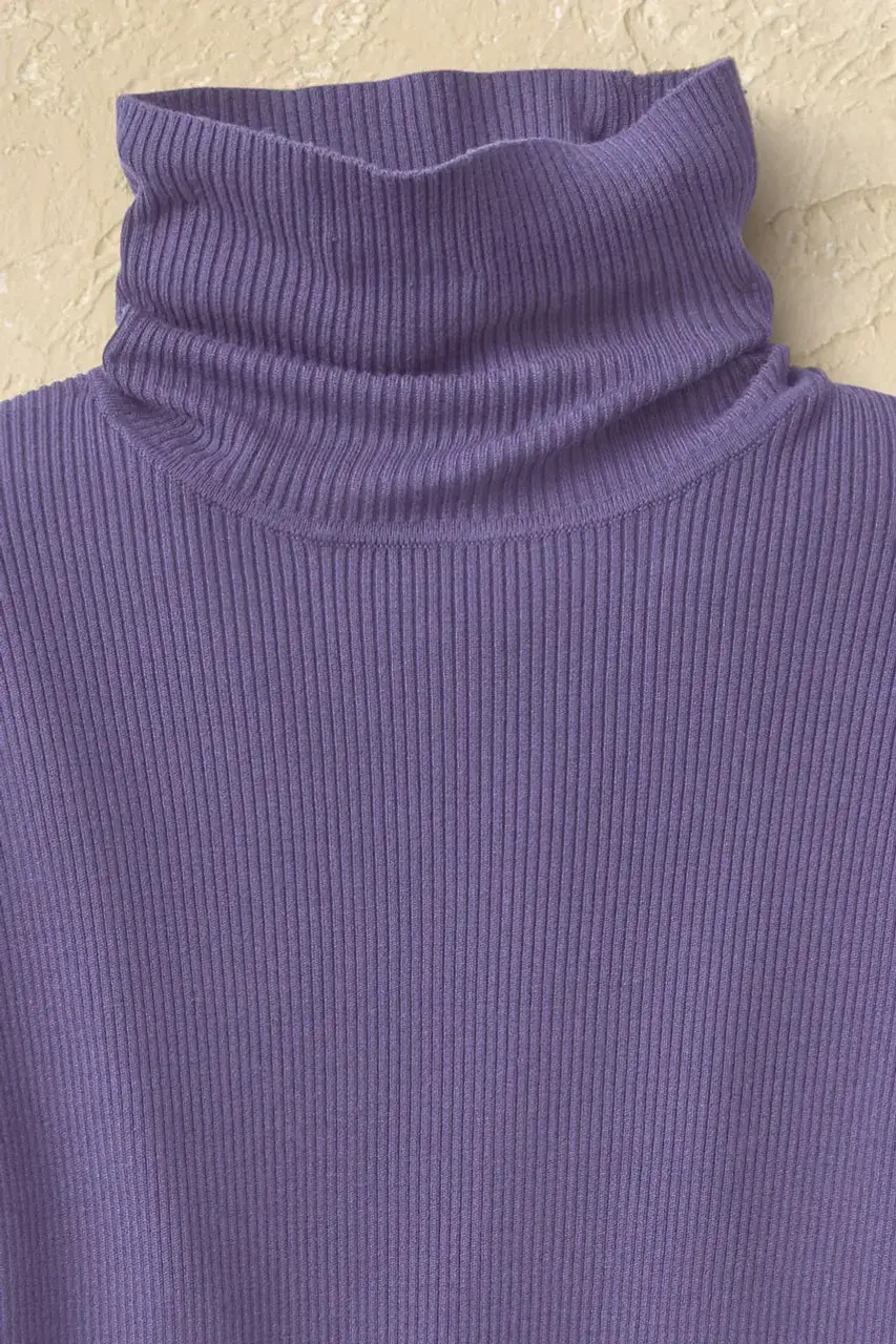 Ribbed Turtleneck Sweater