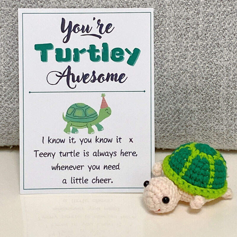 Handmade Crochet Turtle Good Luck Charm