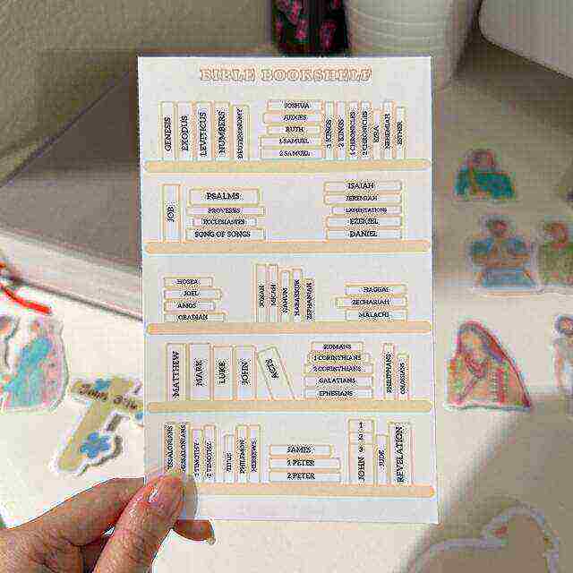 ✝️Bible Study Tracker Stickers