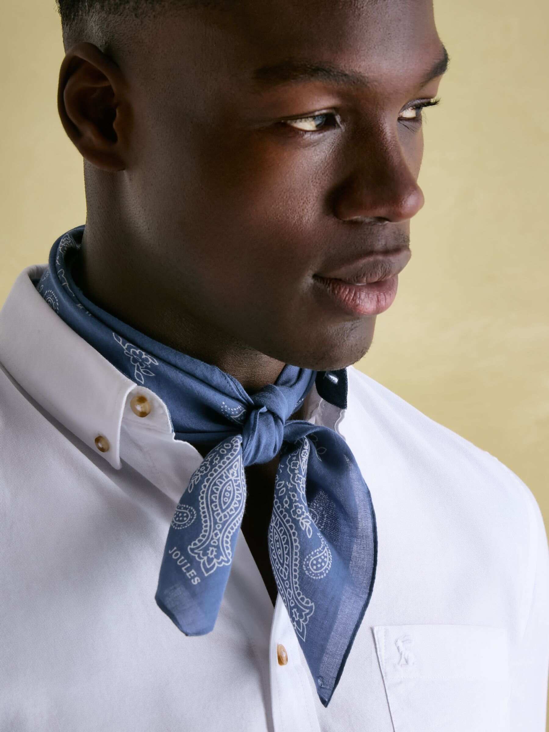 Dapper Blue Cotton Scarf