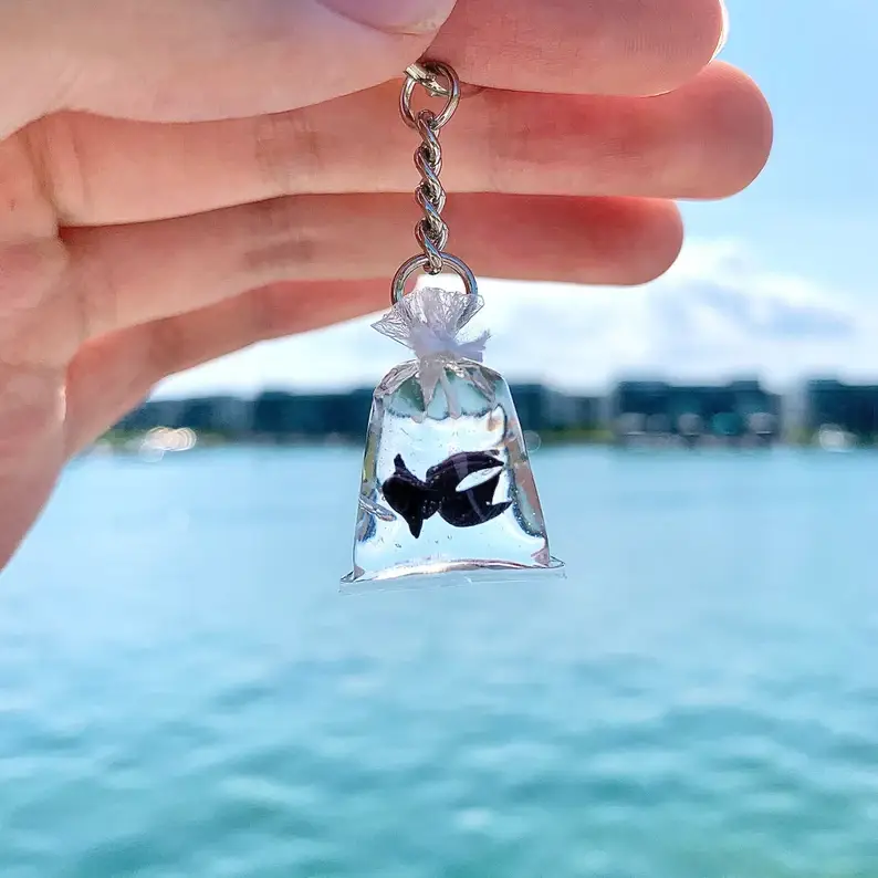 Goodluck in Bag Resin Keychain