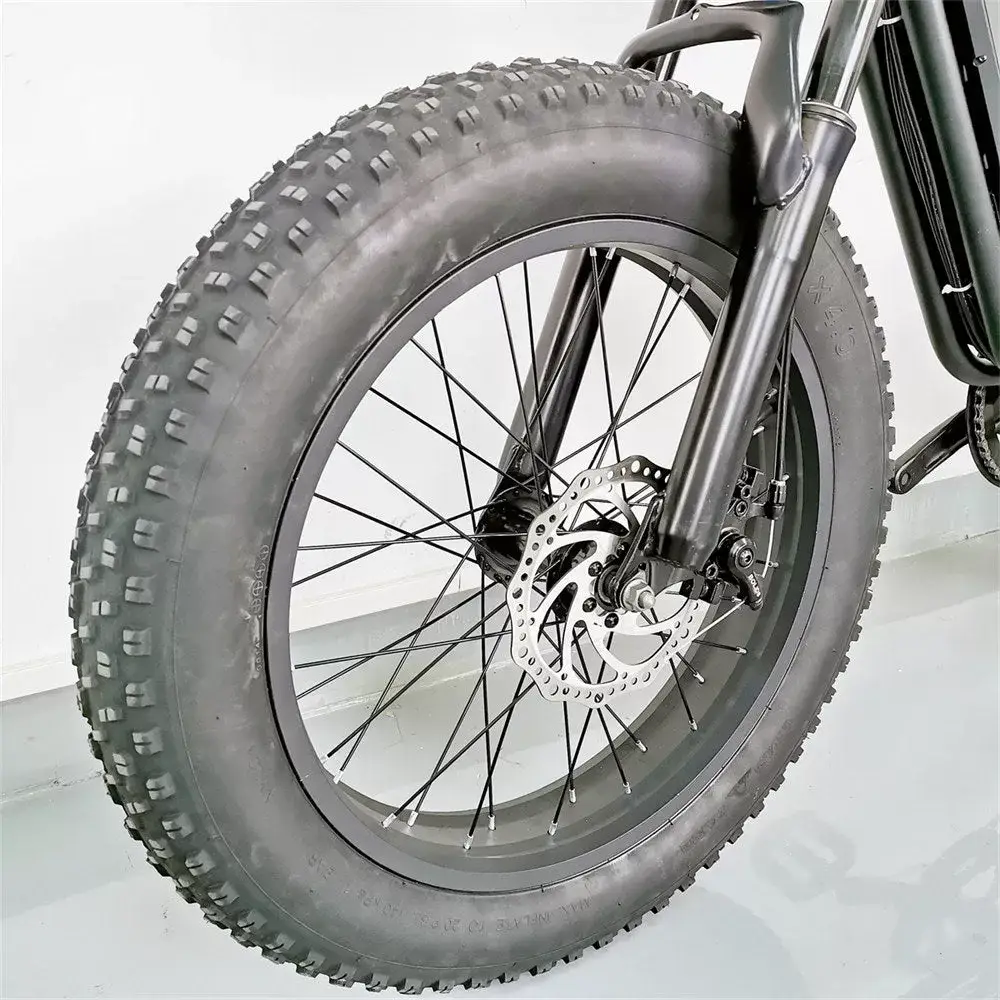 E-Bike C91 48V 20ah 1000W High performance motor 5 model and 7 Speed