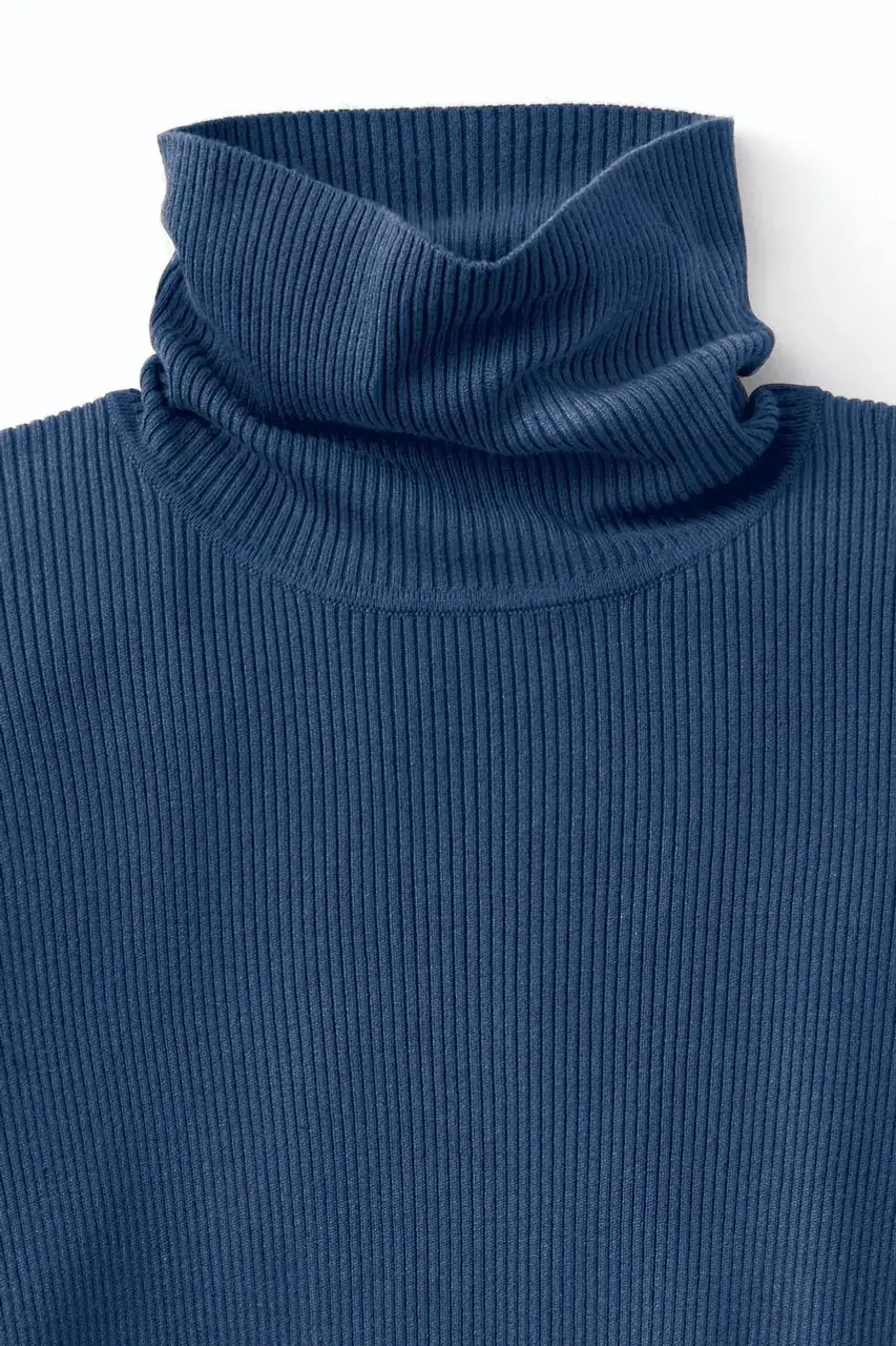 Ribbed Turtleneck Sweater