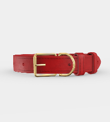 Custom Clef Dog Collar