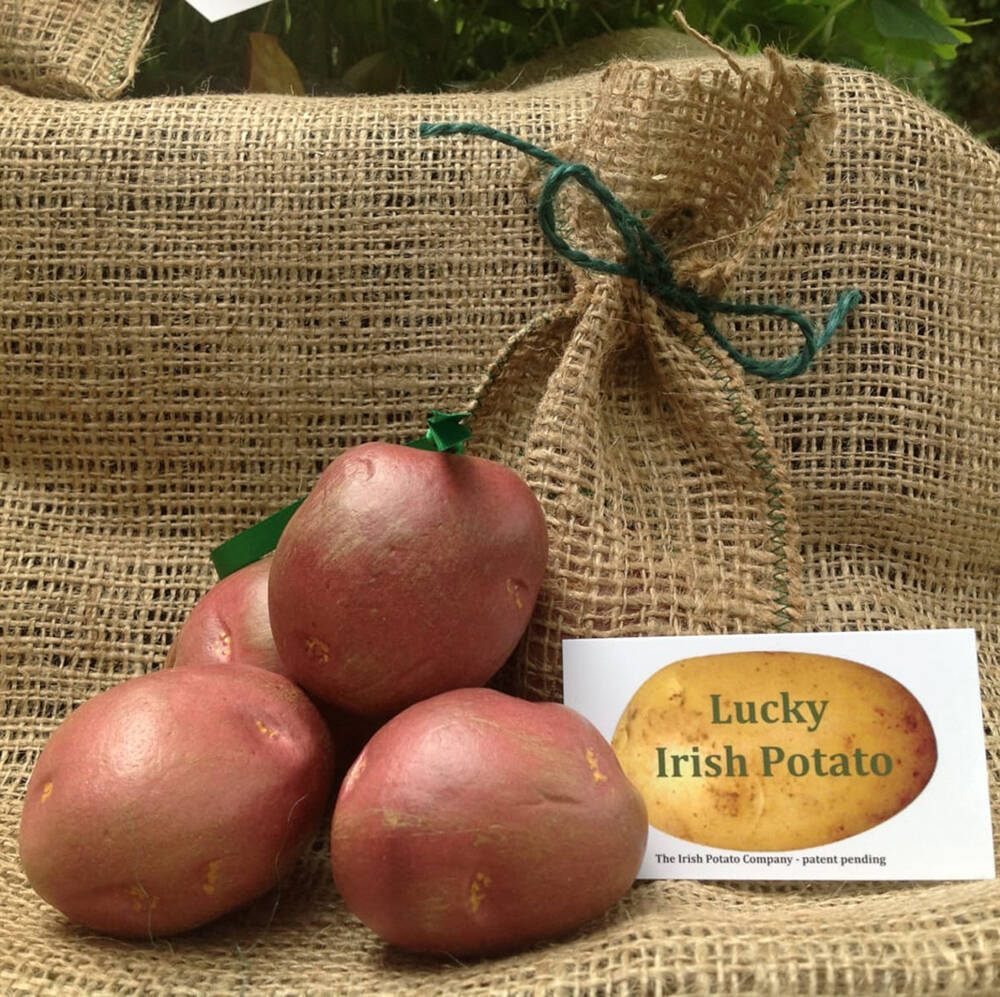 Irish ornament, looks like a real potato. Very cute!