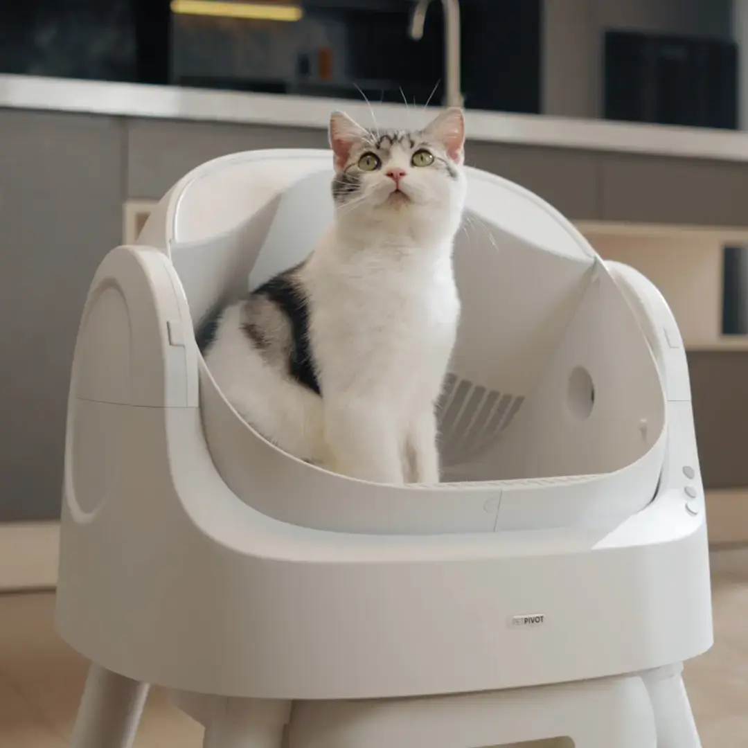 PetPivot AutoScooper 11 Self-Cleaning Cat Litter Box