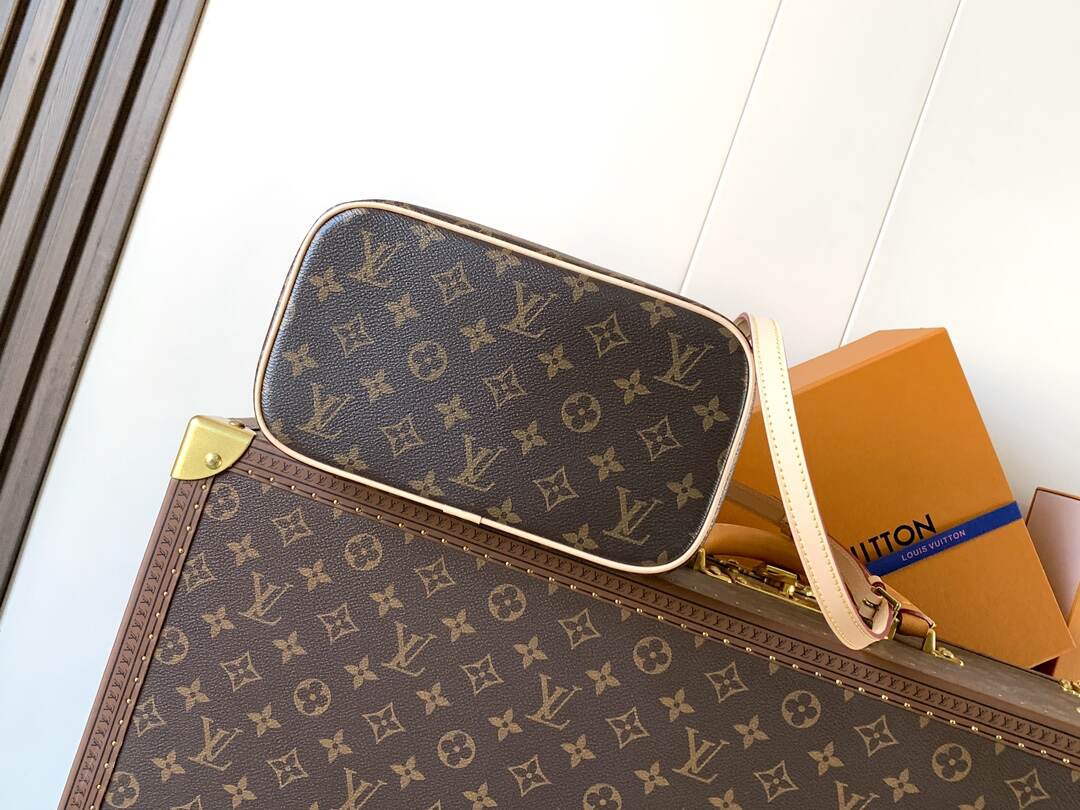 LOUIS VUITION NICE makeup bag with chips