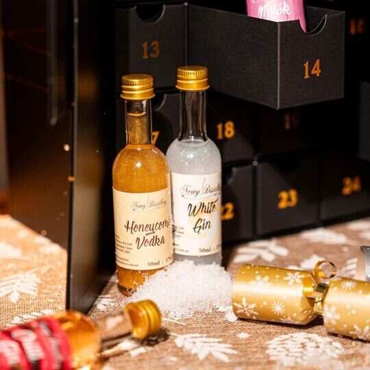 CHRISTMAS 2023 24 DAY GIN AND VODKA ADVENT CALENDAR - Aanythingby Clearance