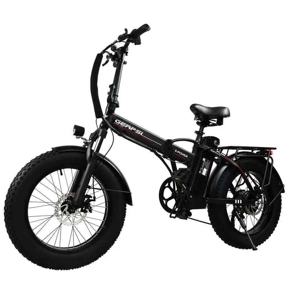 E-BIKE DZ2002 48V 13Ah 500W Performance Motor