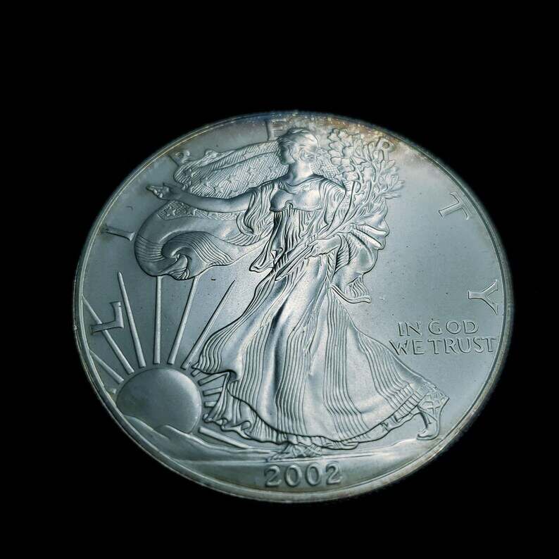 2002   American Silver Eagle   -  1 Oz .999 Silver - Key Date- Slight toning -   # 610