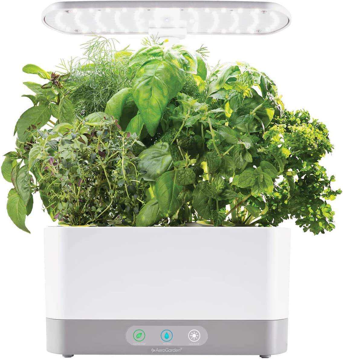 Harvest XL with Gourmet Herbs Seed Pod Kit - Indoor Garden with LED Grow Light