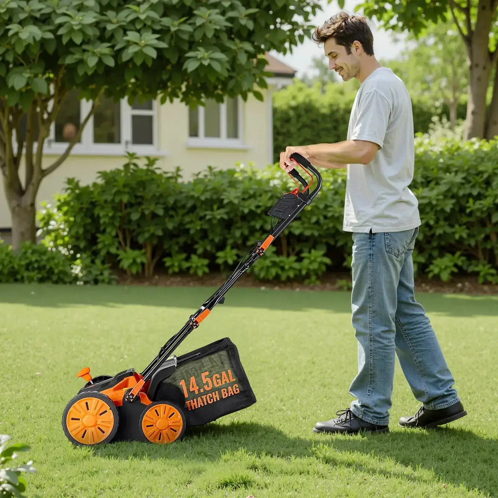 2-in-1 Electric Dethatcher and Scarifier Lawn Dethatcher 13-Inch /16inch  13 Amp