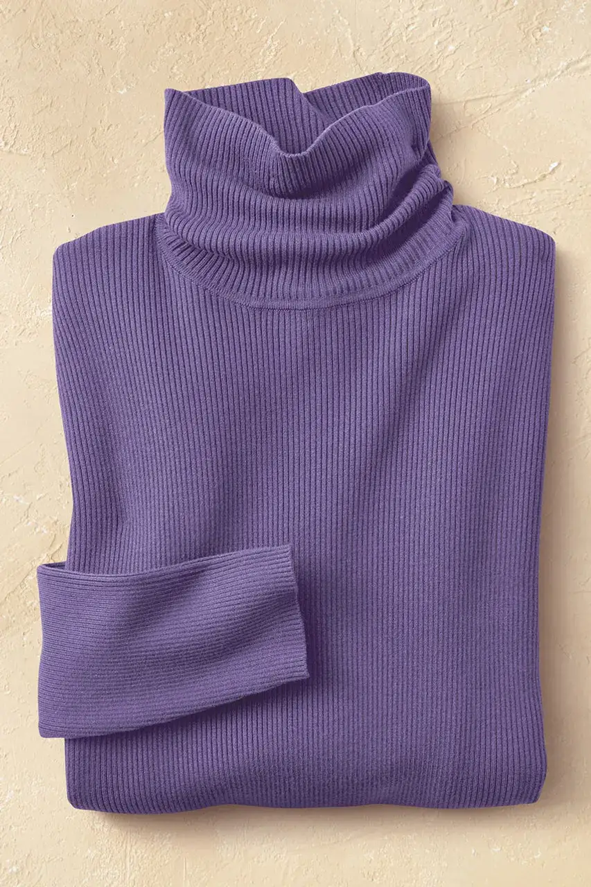Ribbed Turtleneck Sweater