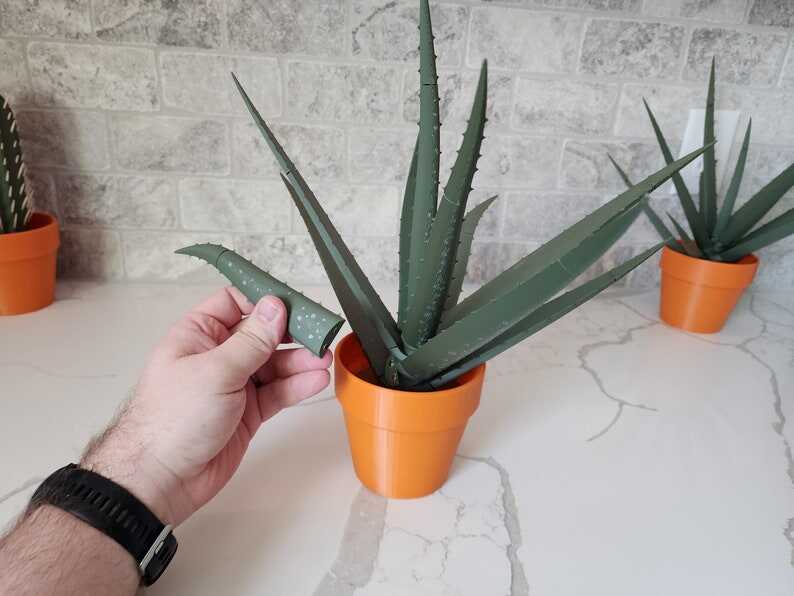 3D Printed Aloe Vera Pen Plant